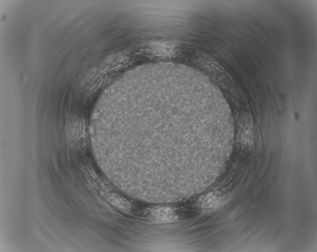 X0000054580518200508300104.png