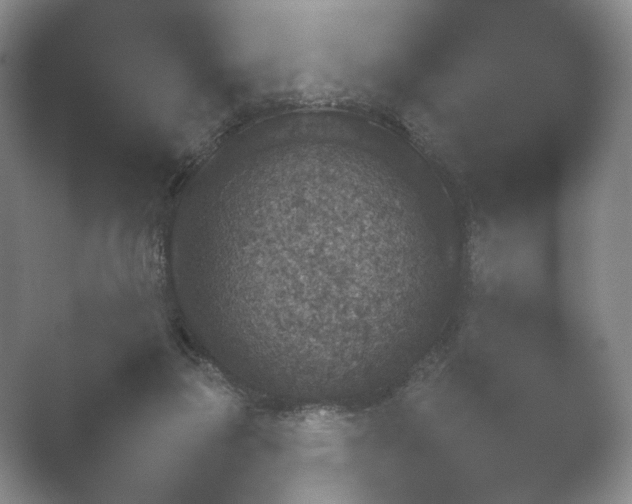 X0000052150165200507052001.png