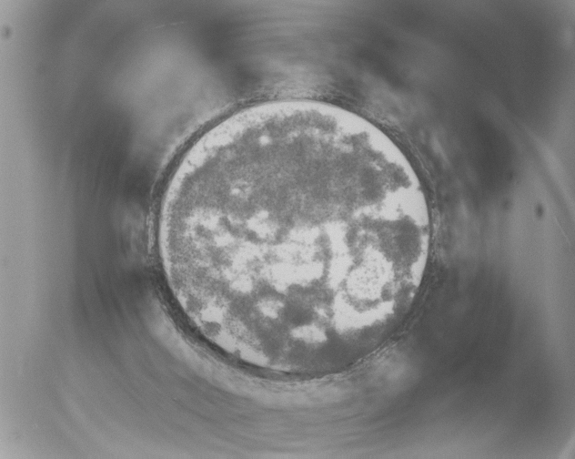 X0000054580012200508300112.png