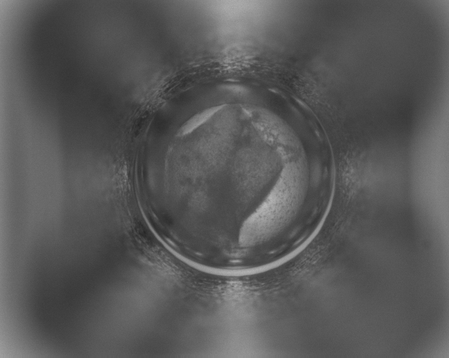 X0000052710565200508022314.png