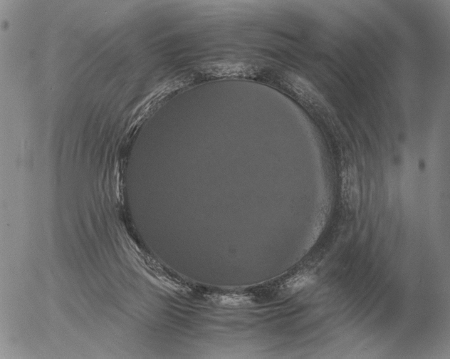 X0000054170165200508101808.png