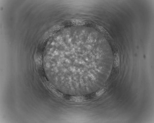 X0000054170713200508101759.png