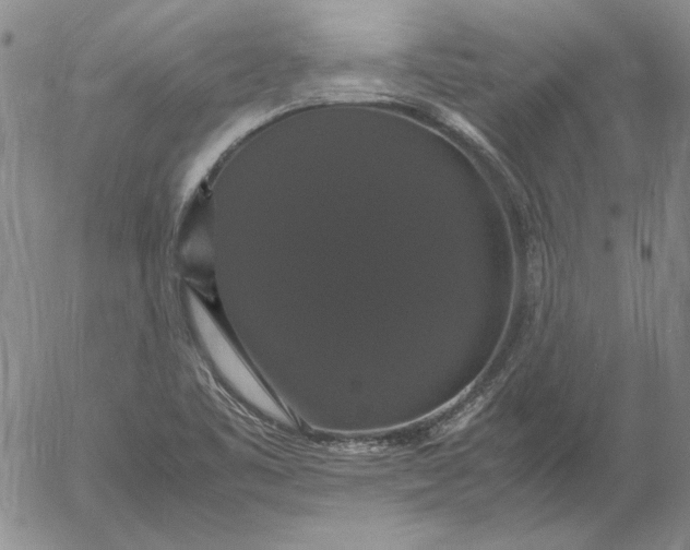 X0000054171461200508101747.png