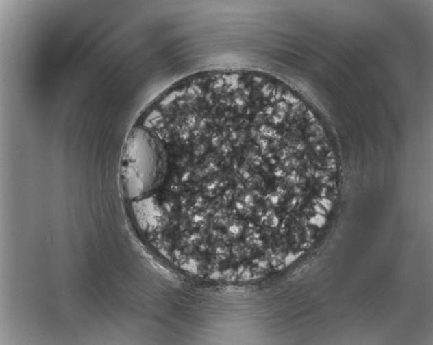X0000053460839200508112155.png