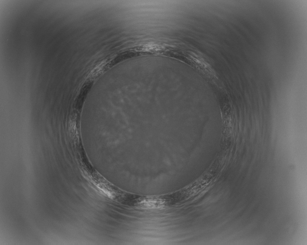 X0000055210415200508301327.png