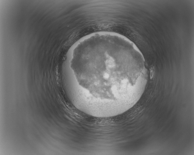 X0000055251011200509071609.png
