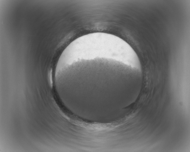 X0000054350020200508190140.png