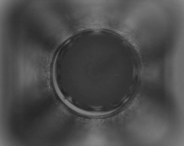 X0000047500889200503161510.png