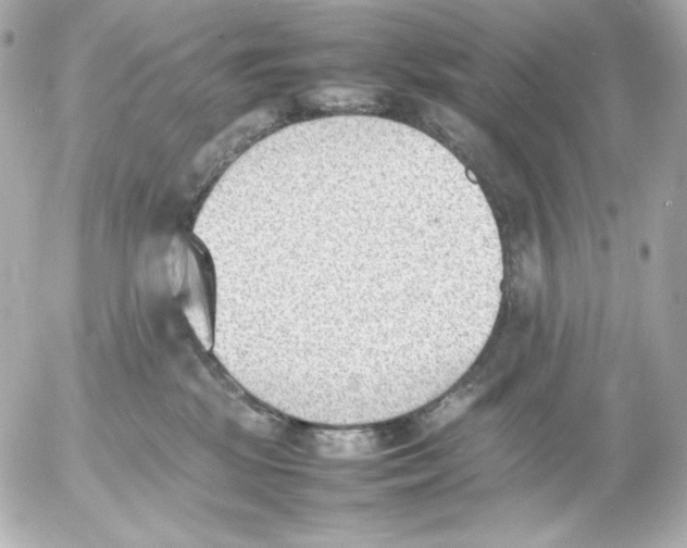 X0000054230281200508171520.png