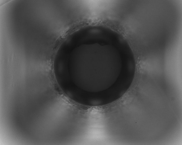 X0000054730756200508171851.png