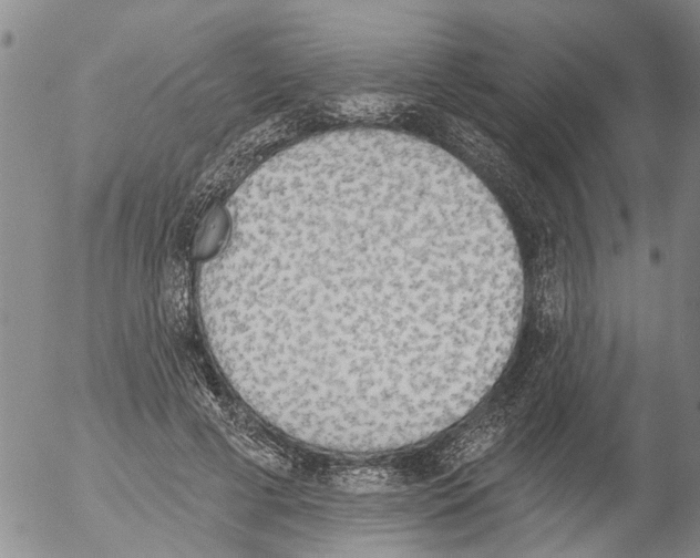 X0000054580593200508300103.png