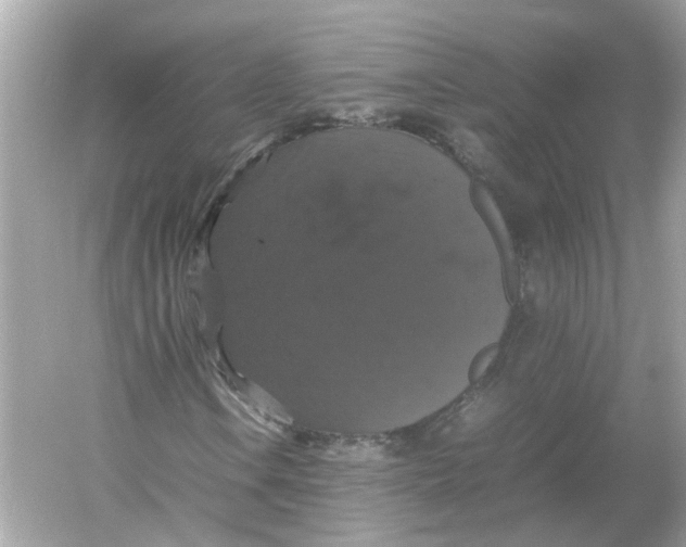 X0000054351106200508190121.png
