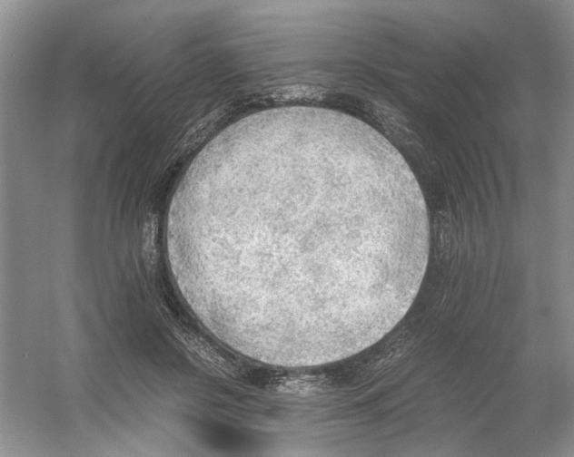 X0000054270550200508261919.png