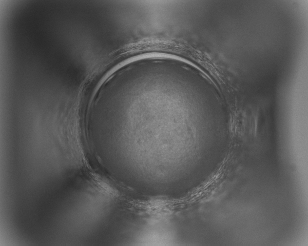 X0000052020101200507181637.png