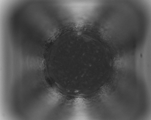 X0000041030654200411081235.png