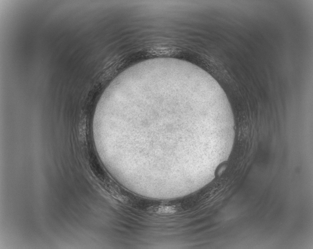 X0000054270647200508261917.png