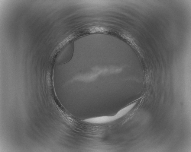X0000054350353200508190134.png