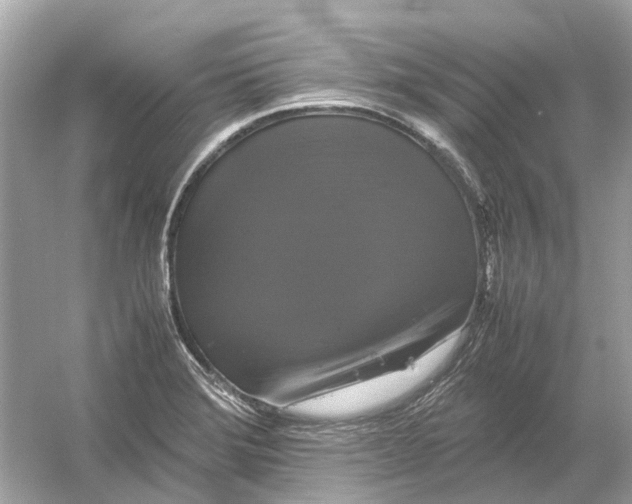 X0000054351372200508190117.png