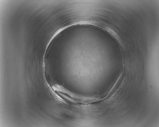 X0000054301428200508042258.png