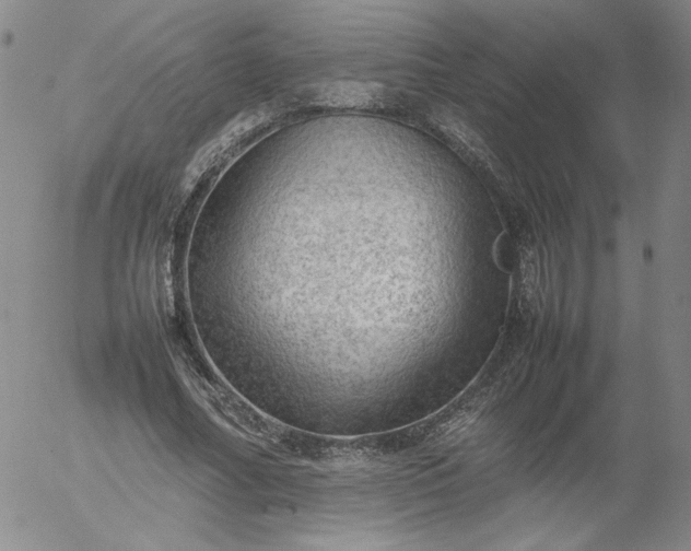 X0000054650682200508091642.png