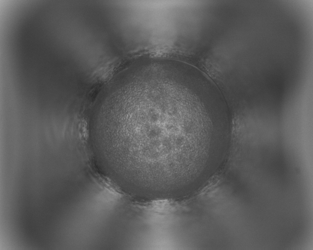 X0000052150479200507051956.png