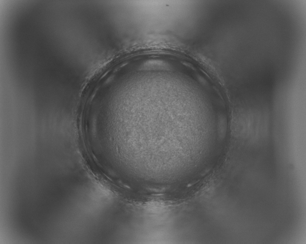 X0000052280394200507132034.png