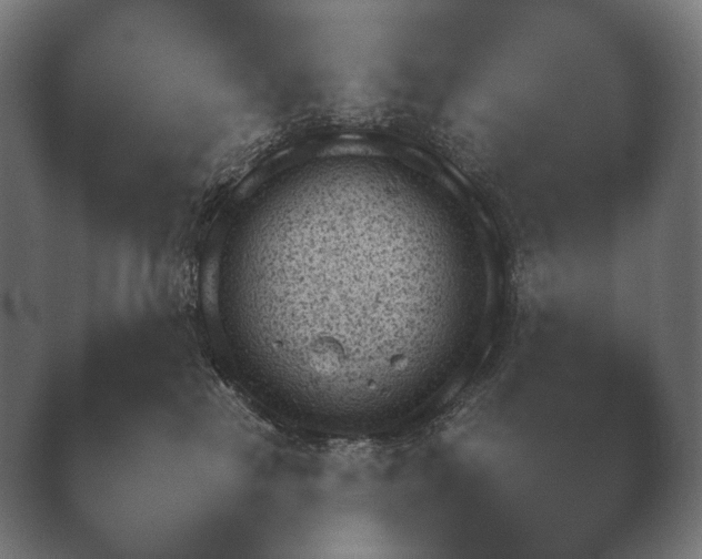 X0000040040185200410070855.png