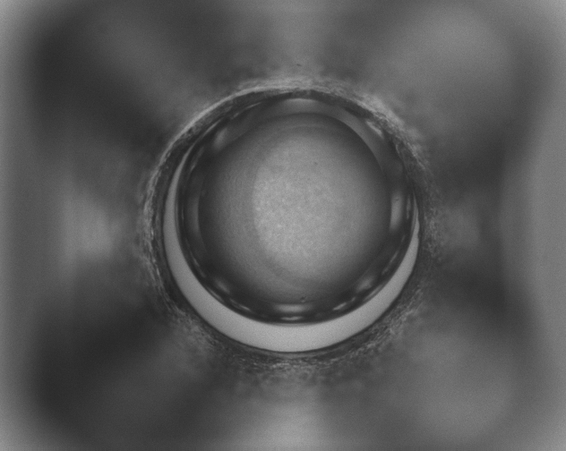 X0000044151216200412271245.png