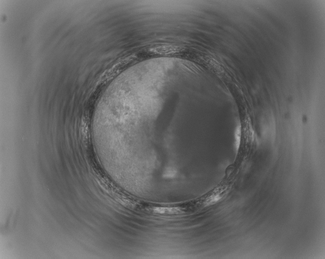 X0000054170371200508101805.png