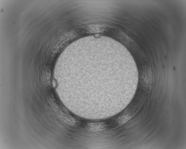 X0000054580556200508300103.png