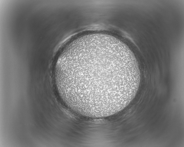 X0000054271304200508261905.png