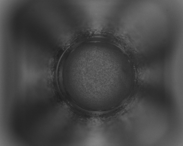 X0000044230661200501101639.png