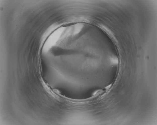 X0000054171200200508101751.png
