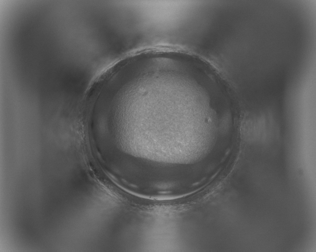 X0000052281402200507132016.png
