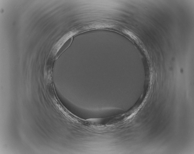 X0000054171185200508101752.png