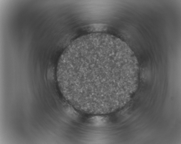 X0000053460326200508112204.png