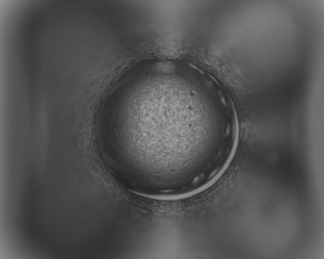 X0000048531201200503171502.png