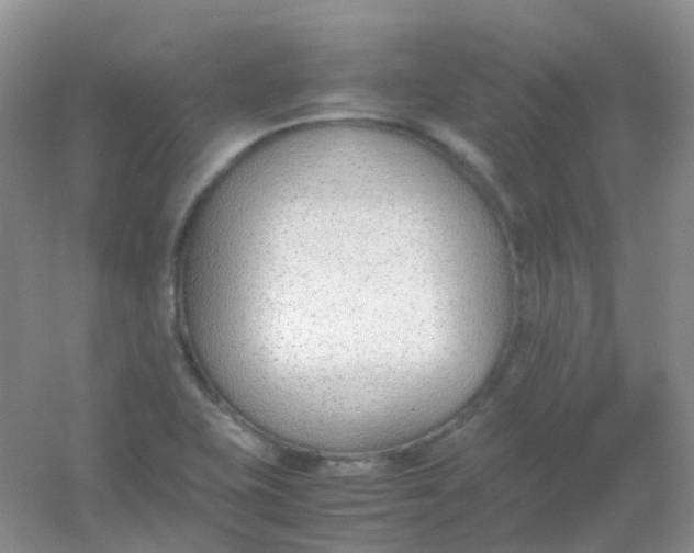 X0000054331415200508111907.png