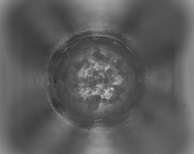 X0000052150734200507051951.png