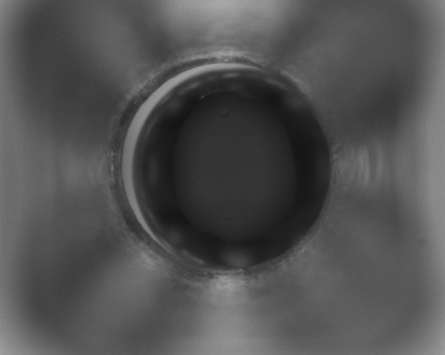 X0000054730350200508171858.png