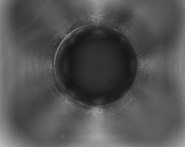 X0000054730617200508171853.png