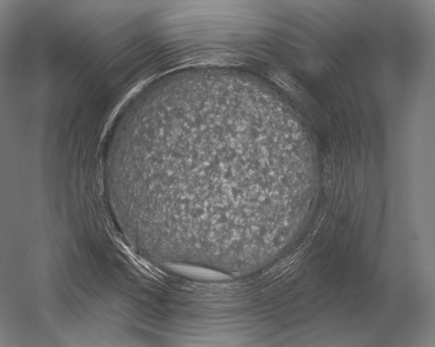 X0000055211067200508301316.png
