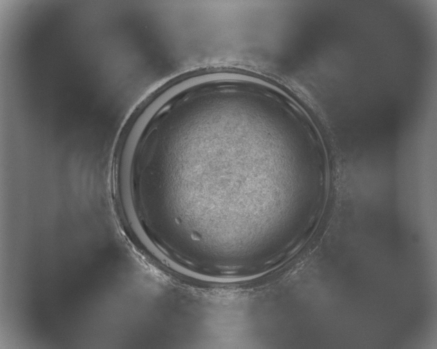 X0000052281036200507132023.png