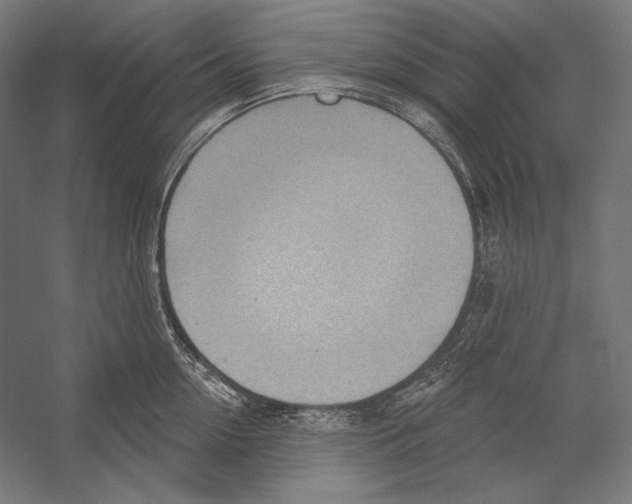 X0000055250954200509071612.png