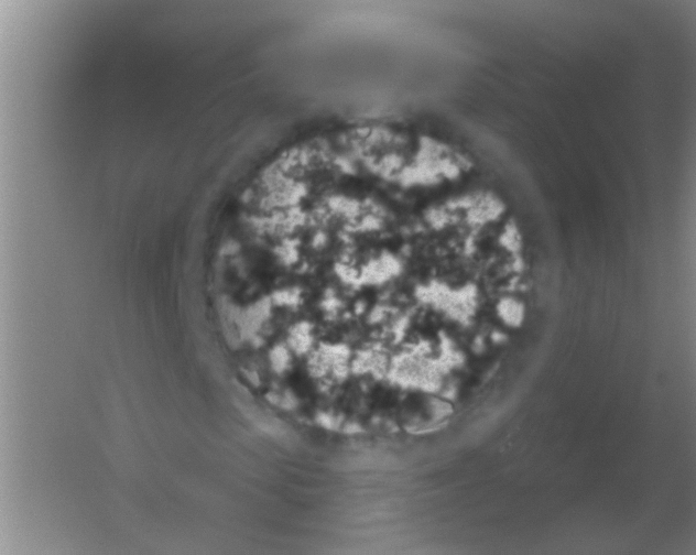 X0000053460913200508112153.png