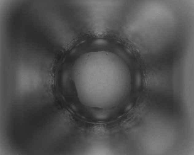 X0000048530651200503171512.png