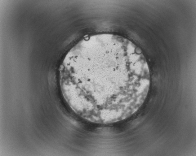 X0000053460211200508112206.png