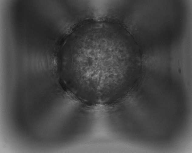 X0000045480527200501191100.png