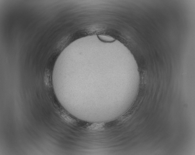 X0000055250138200509071625.png