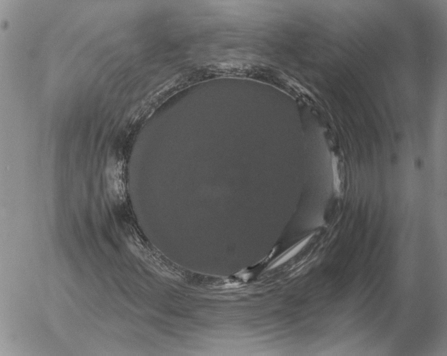 X0000054171156200508101752.png